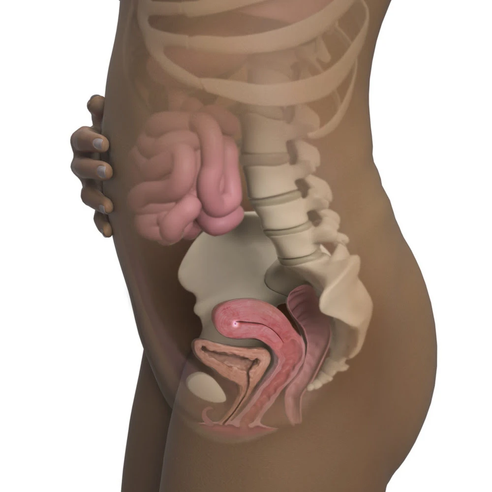 Pregnancy Trimester 1 Week 4